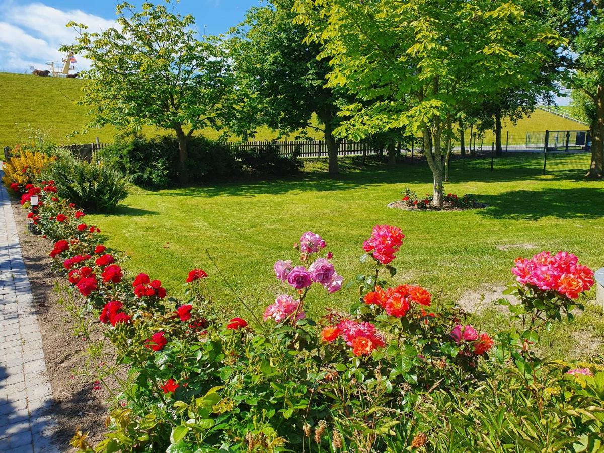 Ferienhaus Meerblick Pellworm Zewnętrze zdjęcie